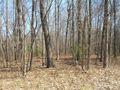 567 S and T Rd, Dunlap, TN 37327 - photo 3