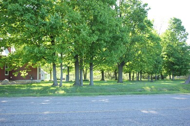 3441 5th St, Wayland, MI 49348 - photo 5