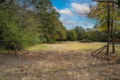 252 Vz County Road 1502, van, TX 75790 - photo 4