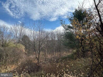 0 W Market St unit PADA2039736, Williamstown, PA 17098 - photo 5