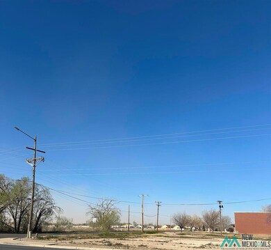 2698 S Main St, Roswell, NM 88203 - photo 4