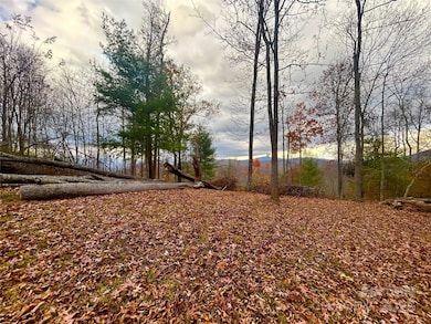 00000 High Peak Ridge unit 10, Green Mountain, NC 28740 - photo 6