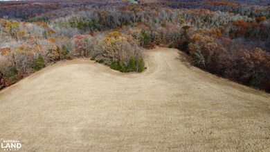 0000 Polston Ln, Hickory Grove Township, MO 63357 - photo 4