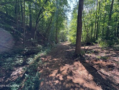 0 Happy Hollow Ln unit 1273078, Sevierville, TN 37876 - photo 5