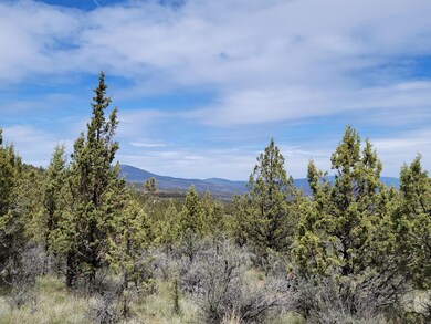 20102 SE Osprey Rd unit 800, Prineville, OR 97754 - photo 5
