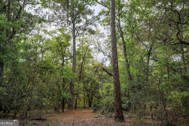 0 Simmons Bluff Rd unit 10371213, Woodbine, GA 31569 - photo 7