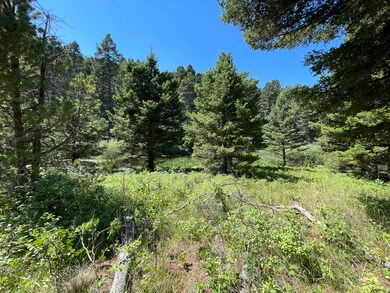17,18, &22 Shining Mountains Unit 3, Ennis, MT 59729 - photo 5