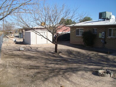 Rear yard & shed