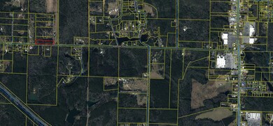 3 acres Bob Sikes Rd, Defuniak Springs, FL 32435 - photo 7