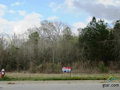 1417 Covewood Dr, Tyler, TX 75703 - photo 5