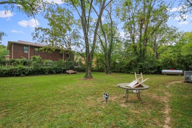 Back yard