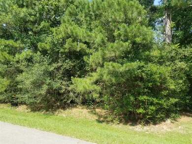 2018 Timbergreen Cir, Magnolia, TX 77355 - photo 5