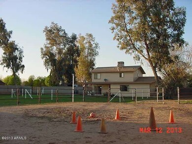 Horse Arena