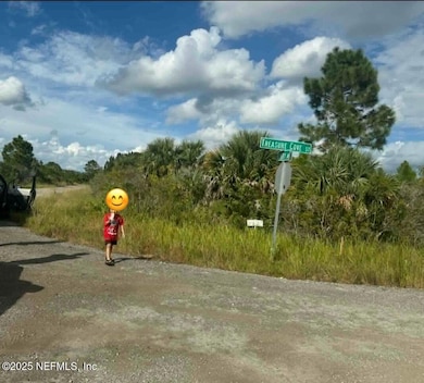 0 Treasure Cove St unit 2119698, Palm Bay, FL 32908 - photo 6