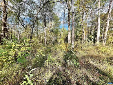 0 Riverdale Rd, Stanardsville, VA 22973 - photo 5