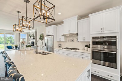 25065 Cambridge Hill Terrace, Chantilly, VA 20152 - photo 7