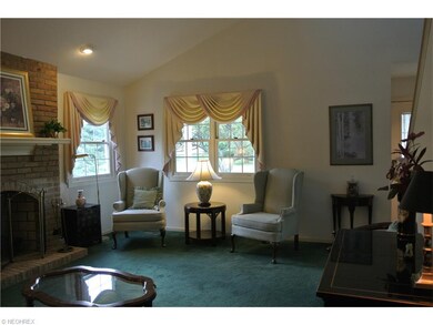 Vaulted Living Room