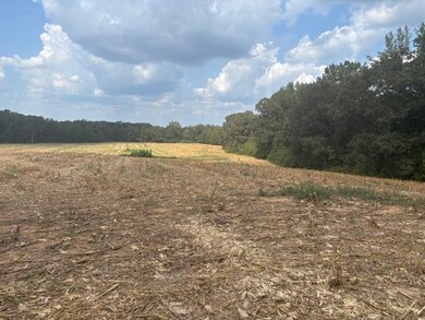 110 Reaves Rd, Middleton, TN 38052 - photo 5