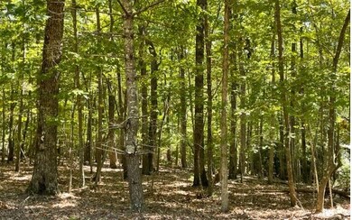 8 AC Payne Way, Blairsville, GA 30512 - photo 7