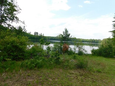 W606 Joe Johnson Rd, Suring, WI 54174 - photo 5