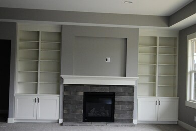 Fireplace and built ins