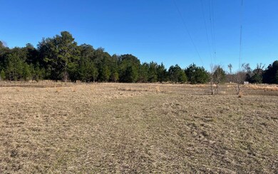 820 NW Frontier Dr, Lake City, FL 32055 - photo 2