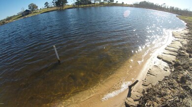 17 R Williams Ln, Lucedale, MS 39452 - photo 4