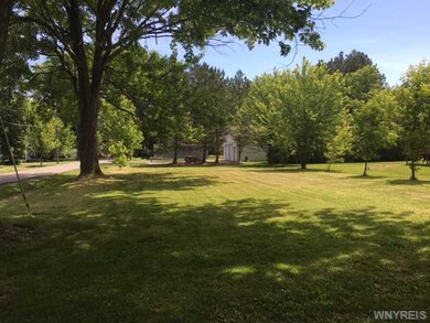 Yard.