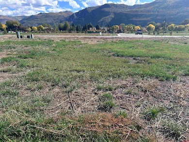 161 W Dalton Rd, Durango, CO 81301 - photo 3