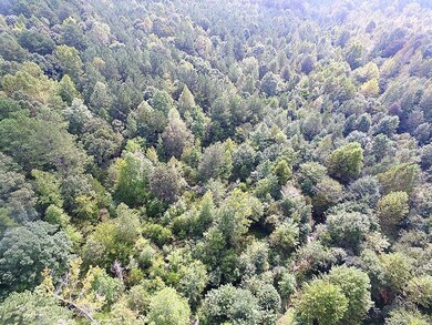 0 Beagle Run Ln, Red Oak, VA 23821 - photo 7