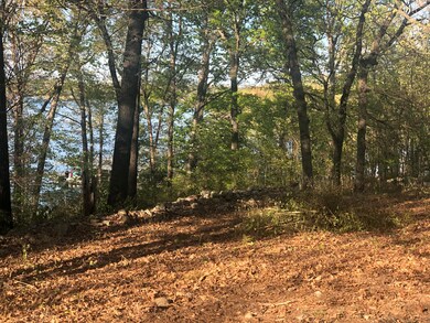 Additional trees can be cleared