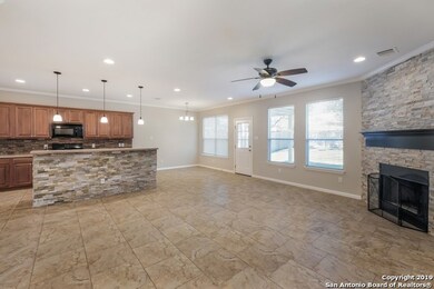 3727 Pinyon Pine, San Antonio, TX 78261 - photo 3