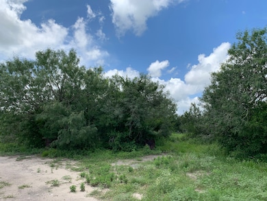 Sendero Creek Ranch Tract 6, San Diego, TX 78332 - photo 4