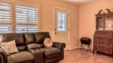 703 N Edison St, Fredericksburg, TX 78624 - photo 4