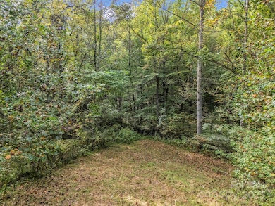 19 Woodchuck Cove Way, Alexander, NC 28701 - photo 6