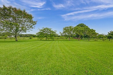 Almost an acre of land