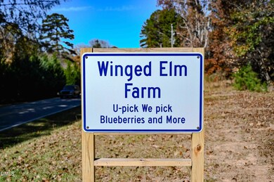 3800 Carbonton Rd, Sanford, NC 27330 - photo 5