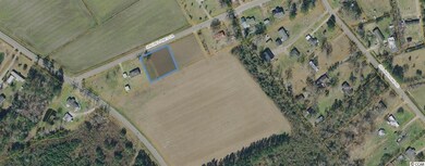 2027 Singing Pines Dr unit Lot 4 - The Sumter P, Conway, SC 29527 - photo 4