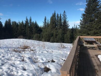 Twitter Creek From the Deck