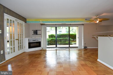 6139 Leesburg Pike unit 206, Baileys Crossroads, VA 22041 - photo 7