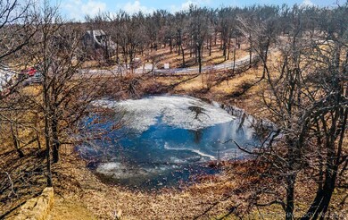 16605 N 36th West Ave, Skiatook, OK 74070 - photo 2