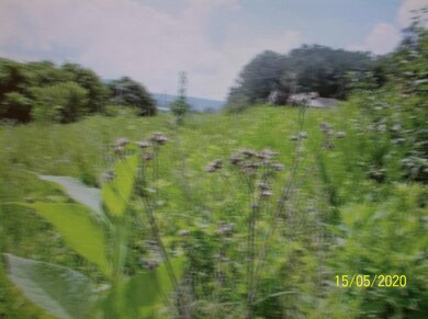 0 Redbird Ln, Rutledge, TN 37861 - photo 7