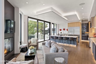 19 Little Cloud Trail, Aspen, CO 81611 - photo 4