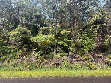 0 Ala Ohia St unit 725987, Volcano, HI 96785 - photo 7