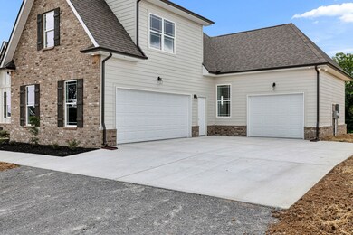 1009 Old Center Church Rd, Shelbyville, TN 37160 - photo 6