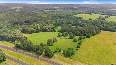 20046 Us Hwy 69s, Alto, TX 75925 - photo 7