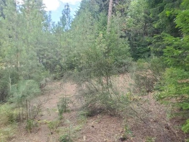 00 Timber Dr, Dunsmuir, CA 96025 - photo 5