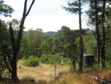 00 Sunset Ridge Rd, Blocksburg, CA 95514 - photo 5