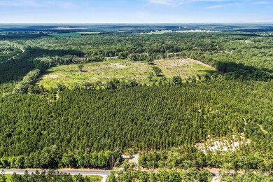 Lot 2 Mt Beulah Rd, Windsor, SC 29856 - photo 2