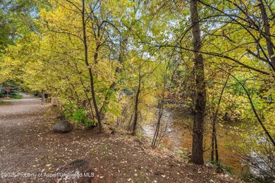 227 Midland Ave unit 22, Basalt, CO 81621 - photo 7